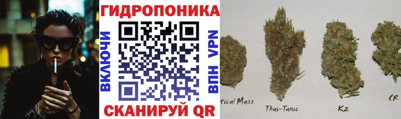 Где купить наркотики Борисоглебск А ПВП  Меф мяу мяу  Гашиш  Марихуана  Кокаин 