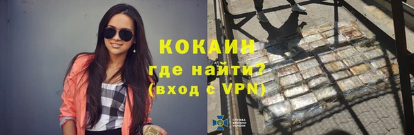 твердый Михайловск
