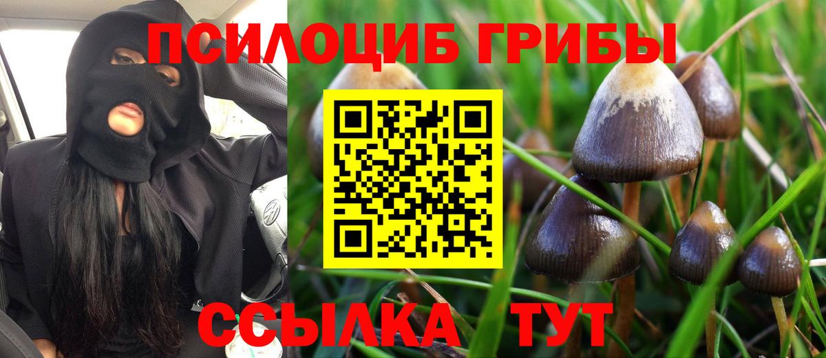 Галлюциногенные грибы прущие грибы  Вход с VPN  Борисоглебск 